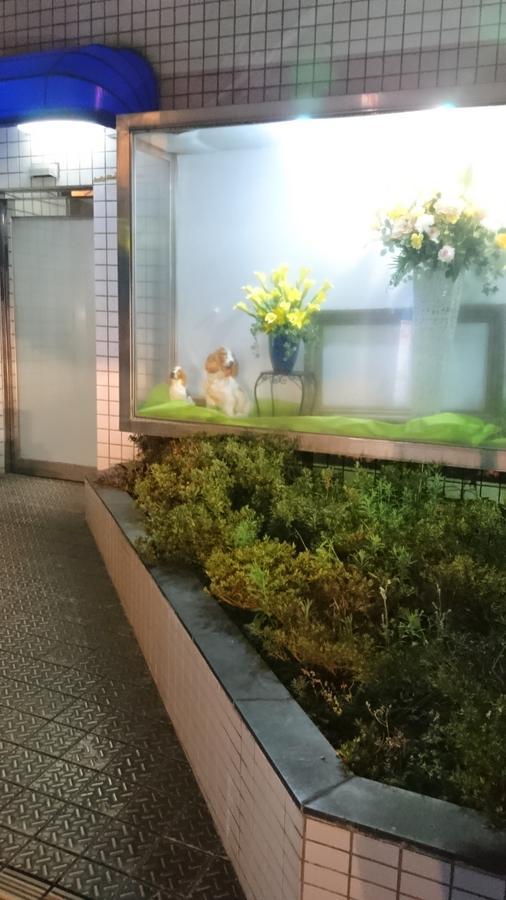 Hotel Loire (Adults Only) Ōsaka Extérieur photo